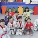 계룡태권도 이미지