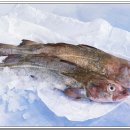 일등수산물 이미지