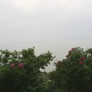 해안농장 이미지