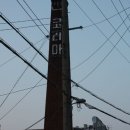 코리아탕 이미지