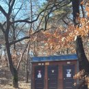 연암공원 유아숲체험원 이미지