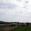 을숙도 생태공원 이미지