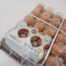 양평유정란맛집 싱싱계란 방문후기