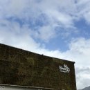 조형과 운동 | 부산 현대미술관 힐마 아프 클린트 전시 후기