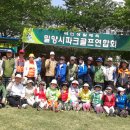 청록