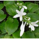 미소공원 이미지