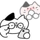 (주)위더스투어 이미지