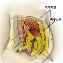 방서참한의원 이미지