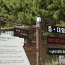 밝은미소약국 | 용인 테일 45 강아지 운동장 반려견 놀이터 애견동반 카페 대관 모임