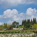 성성호수공원 이미지