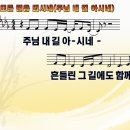 모든걸음되시네(주님내길아시네).ppt 이미지