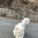 멍이곳간 이미지