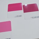 자매떡볶이 충장로점 | 광주 퍼스널컬러&amp;골격진단 오브컬러 | 겨울쿨톤 후기 |겨울브라이트 진단 |충장로 퍼스널컬러