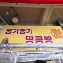 옹기종기 | 창원 상남시장 땅콩빵, 옹기종기 땅콩빵 포장 후기