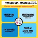 스위밍차일드 네이버블로그