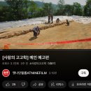 동우떡방앗간 | [4월 둘째주] Hollywood