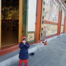 관문사 성보박물관 이미지