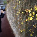 부산배화학교 이미지