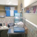 멍멍이랑 사랑하기 이미지