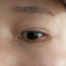 눈꽃속눈썹 강남구청 | 청담속눈썹 눈꽃속눈썹 강남구청 연장 전후
