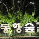 아차산아래작은도서관놀자 | [아차산 일출] 가을 새벽 아차산은 좀 무섭더라