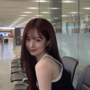 레드쿨헤어 이미지