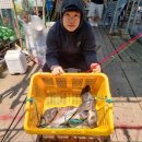 훼미리호 좌대낚시 네이버블로그