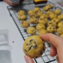 저녁)손쉬운홈베이킹 | [#004] 야식으로 컵라면 먹고 친구랑 홈베이킹(휘낭시에, 미니초코칩쿠키), 스벅 프렌치 바닐라 라떼 강추