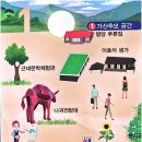 평창군립봉평도서관 | 평창 봉평 가볼만한 곳, 효석달빛언덕 주차팁 및 방문후기