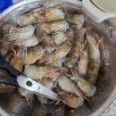 통영금오수산