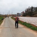 산이면사무소 이미지