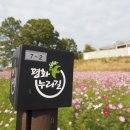 헤이리길 이미지