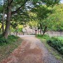 울주 대곡리 반구대 암각화 이미지