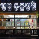 어썸펫동물병원 이미지