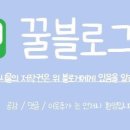 미스터피자청담점 이미지