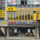 개날라리 이미지