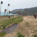 5월 청춘마이크 공연 관람 / 함덕해수욕장 이미지