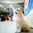 안양복싱 체육관 이미지