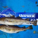 해인호 | 속초체험낚시배 속초 해인호와 함께한 잊지 못할 낚시 경험