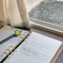 스테이유을 이미지