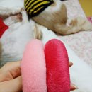 한소리(사-500) 이미지