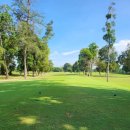 헬로우골프투어 이미지