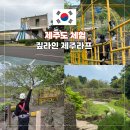 제주도 체험 추천 이색 짚라인 엑티비티 제주라프 후기