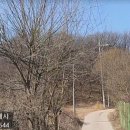 안성흑염소농장 이미지