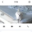 마농밭집 | 환상의섬 제주도 3박4일 우정여행 6월의 백록담
