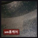 분당에에컨청소비용 sm홈케어 꼼꼼한 서비스와 합리적 가격의 비밀