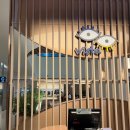 헬스장 | 속초 카시아 조식 뷔페 시간 가격 헬스장 이용 후기