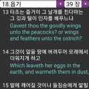 대풍목장 이미지