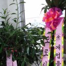 권동석애견미용학원