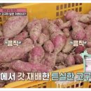 중산농장 이미지